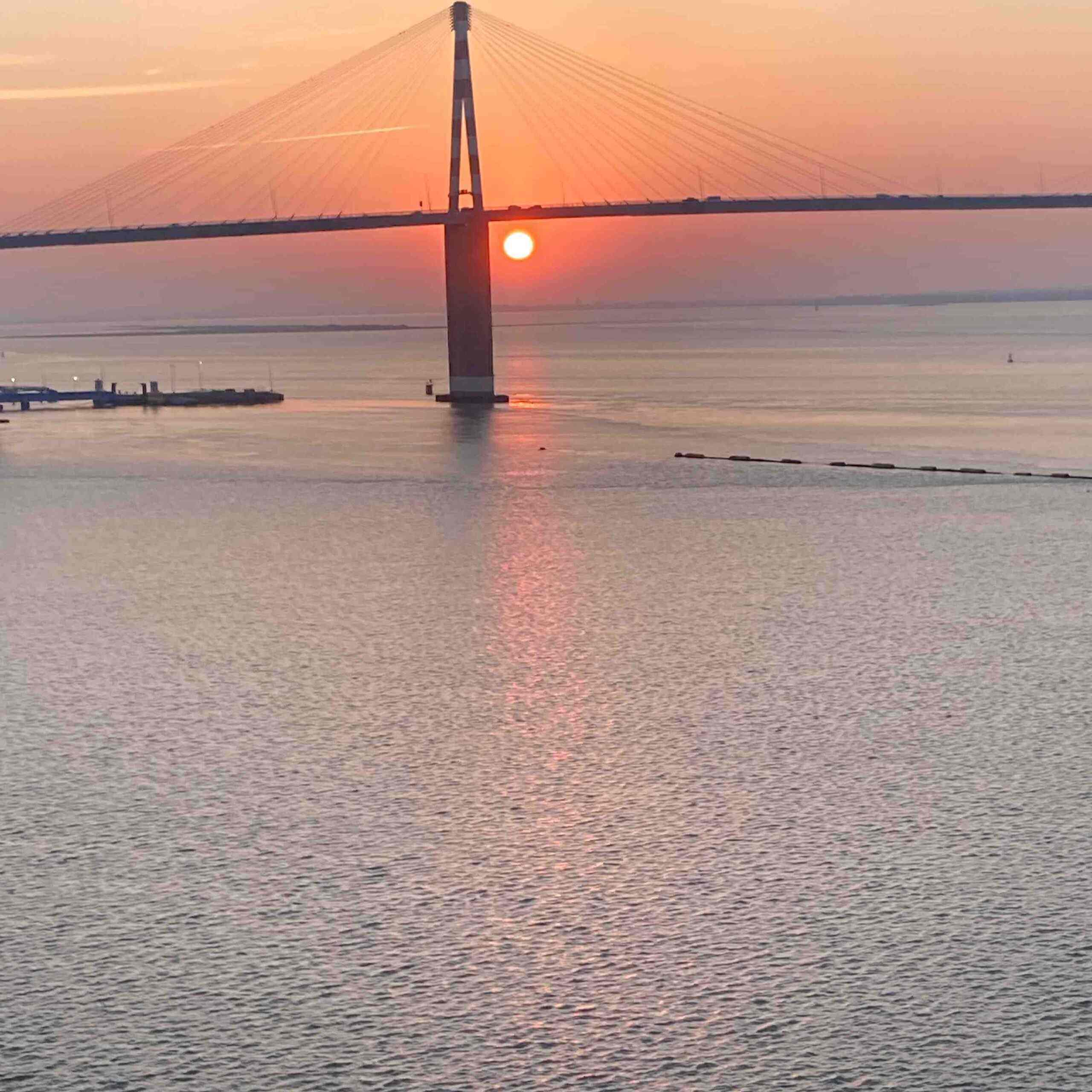 Photo de Priscilla LE MONTAGNER