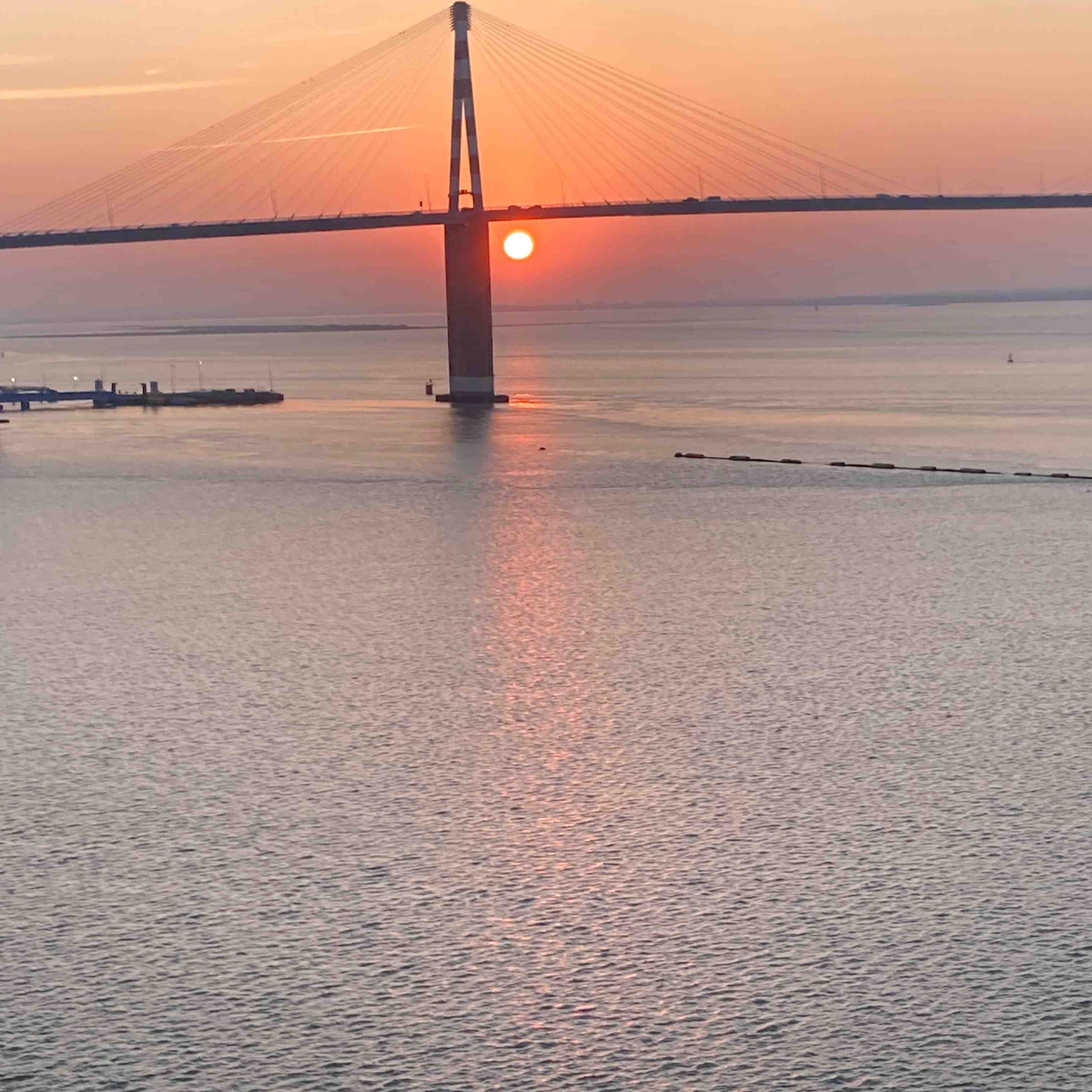 Photo de Priscilla LE MONTAGNER