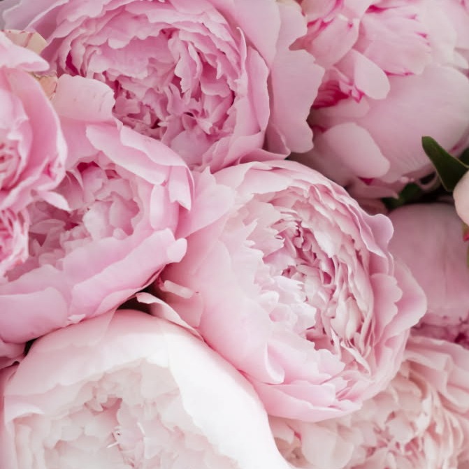 Photo de Madame Jacqueline BASTARD